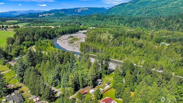 6070 Saxon Rd, Acme, WA 98220 - bird's eye view of a heavily wooded area and a mountain backdrop