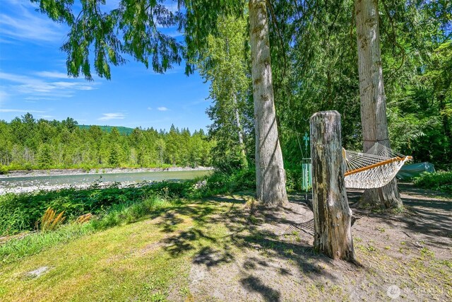 6070 Saxon Rd, Acme, WA 98220 - view of yard with a view of trees