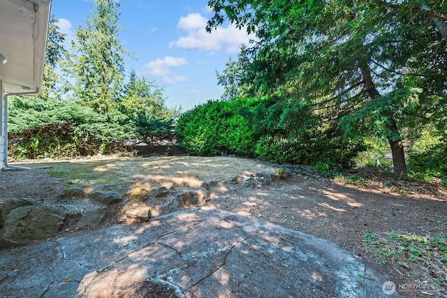 1528 NE 166th St, Shoreline, WA 98155 - view of yard