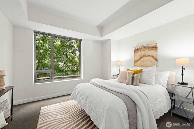 910 Lenora St Unit S403, Seattle, WA 98121 - bedroom with carpet floors and a raised ceiling