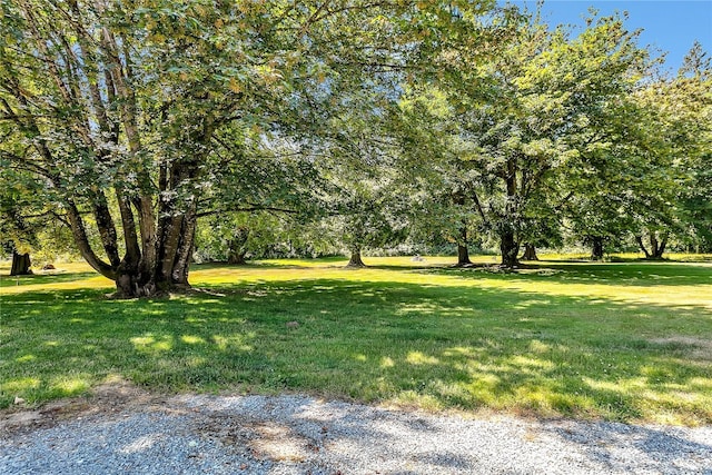 30210 120th Ave E, Graham, WA 98338 - photo 26