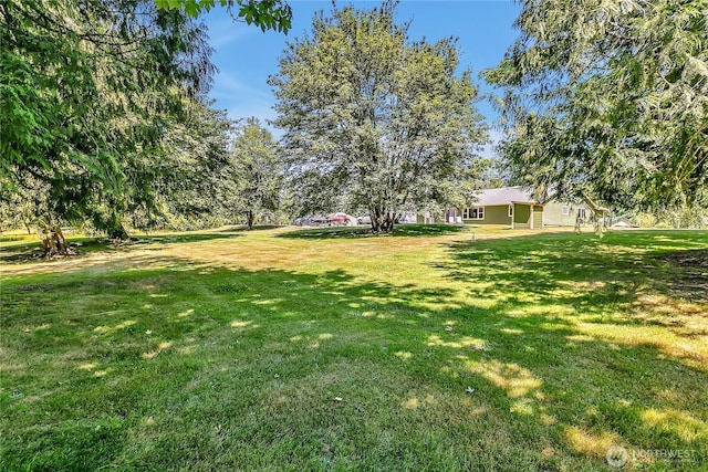 30210 120th Ave E, Graham, WA 98338 - photo 28