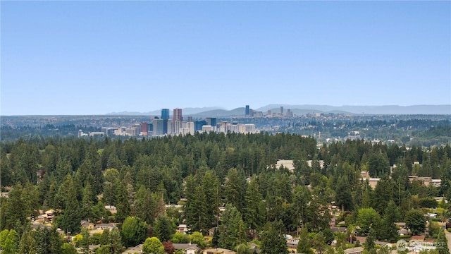 2514 174th Ave NE, Redmond, WA 98052 - city view with a mountain backdrop