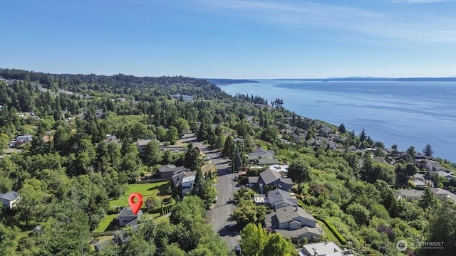 10121 64th Pl W, Mukilteo, WA 98275 - photo 9