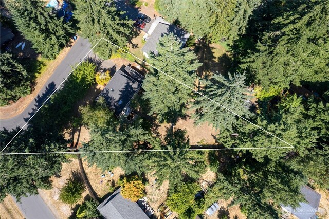 9628 138th Street Ct NW, Gig Harbor, WA 98329 - photo 34