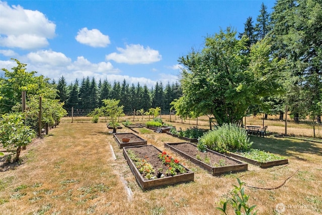 301 Russell Rd, Winlock, WA 98596 - photo 7