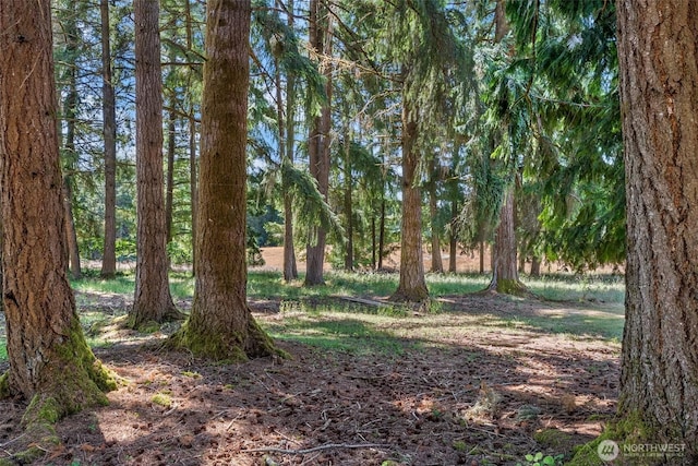 301 Russell Rd, Winlock, WA 98596 - photo 8
