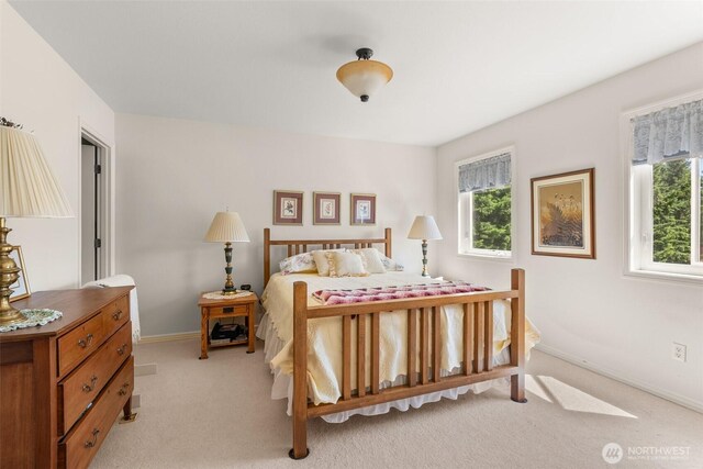 301 Russell Rd, Winlock, WA 98596 - photo 20