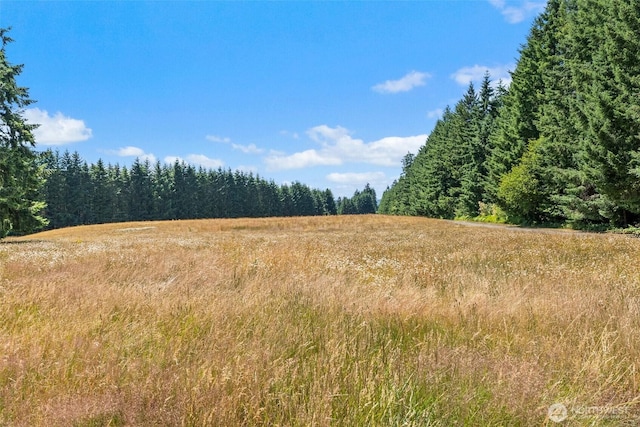 301 Russell Rd, Winlock, WA 98596 - photo 35