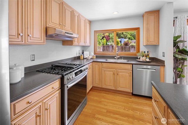 23303 13th Pl W, Bothell, WA 98021 - kitchen featuring stainless steel appliances, under cabinet range hood, dark countertops, light wood finished floors, and recessed lighting