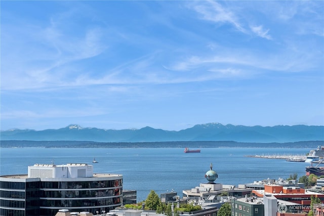 2911 2nd Ave Unit 1117, Seattle, WA 98121 - water view featuring a mountainous background