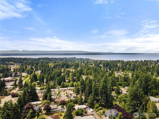 22616 88th Ave W, Edmonds, WA 98026 - bird's eye view of a water and mountain view