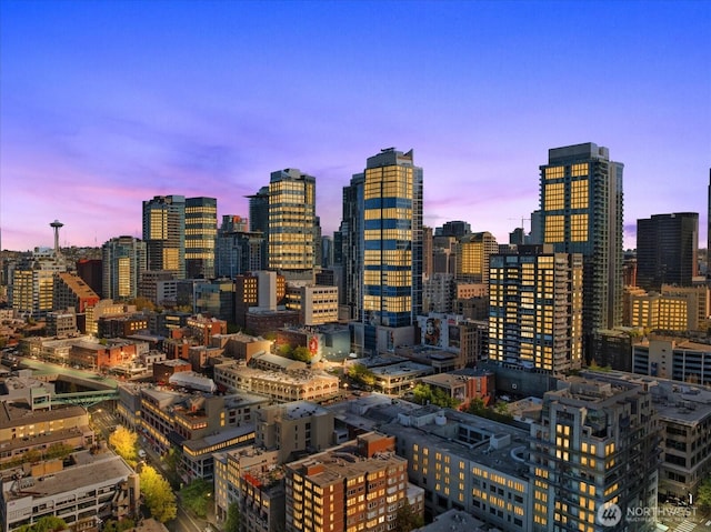 1415 2nd Ave NE Unit 1801, Seattle, WA 98101 - skyline view
