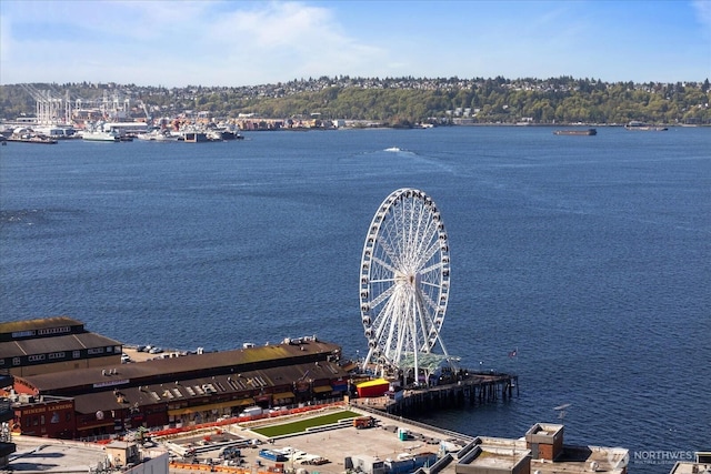 1415 2nd Ave NE Unit 1801, Seattle, WA 98101 - water view