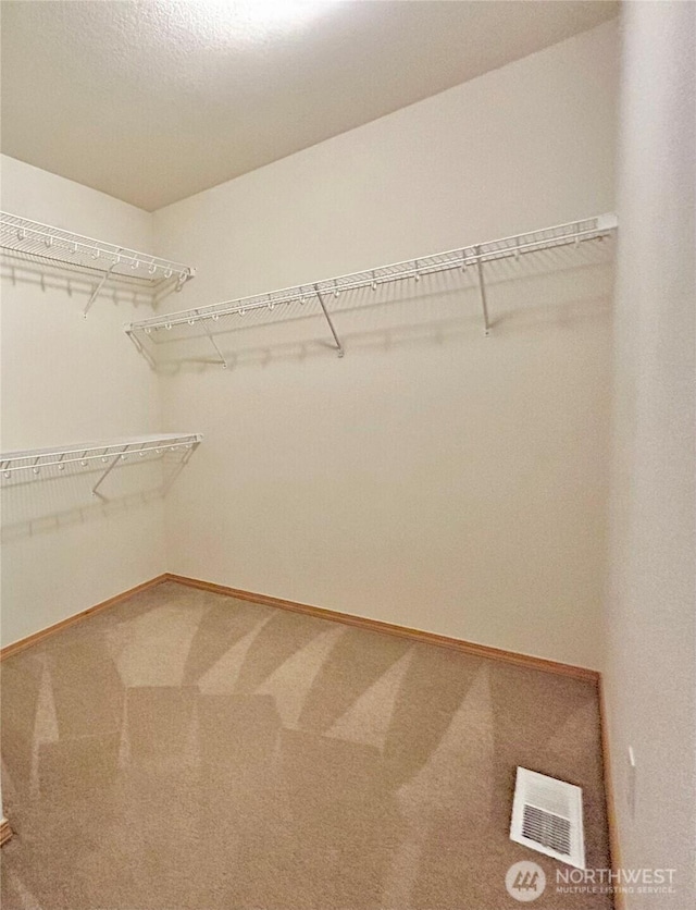 4544 Durham St SE, Lacey, WA 98503 - walk in closet with carpet floors