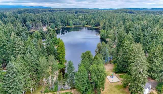 14605 Holiday Dr NW, Gig Harbor, WA 98329 - photo 28