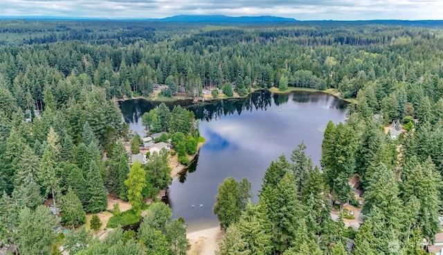 14605 Holiday Dr NW, Gig Harbor, WA 98329 - photo 29