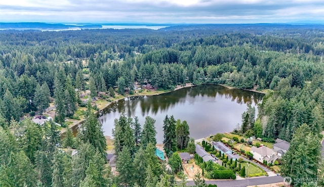 14605 Holiday Dr NW, Gig Harbor, WA 98329 - photo 30