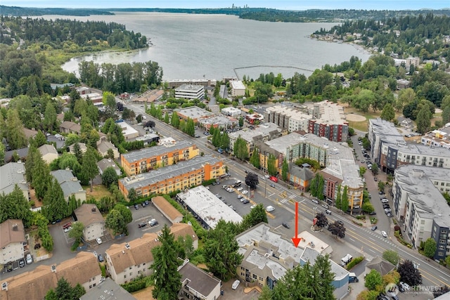 11920 98th Ave NE Unit 213, Kirkland, WA 98034 - photo 2