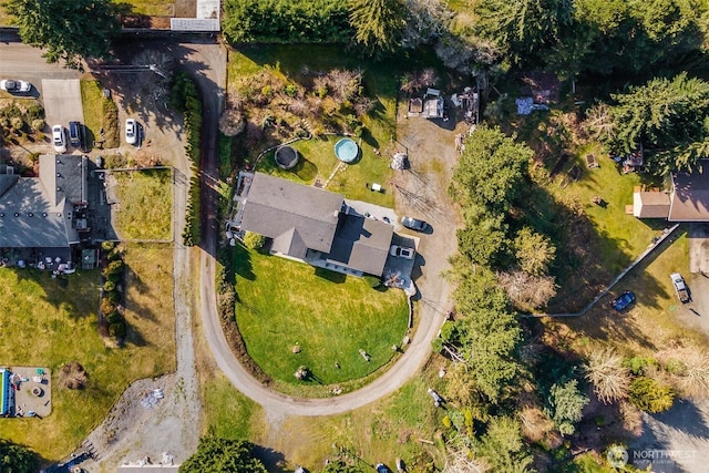 7707 42nd Ave E, Tacoma, WA 98443 - aerial view of property's location