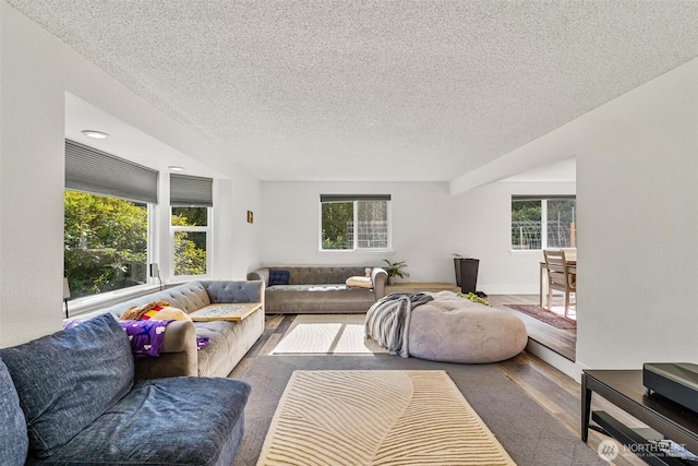 7707 42nd Ave E, Tacoma, WA 98443 - living room featuring plenty of natural light, a textured ceiling, and wood finished floors