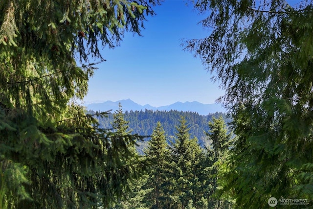 207 215th St SE, Bothell, WA 98021 - mountain view featuring a forest