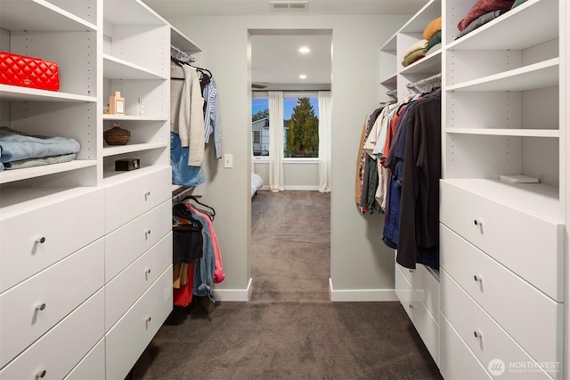 7503 32nd Ave NE, Seattle, WA 98115 - walk in closet featuring dark colored carpet