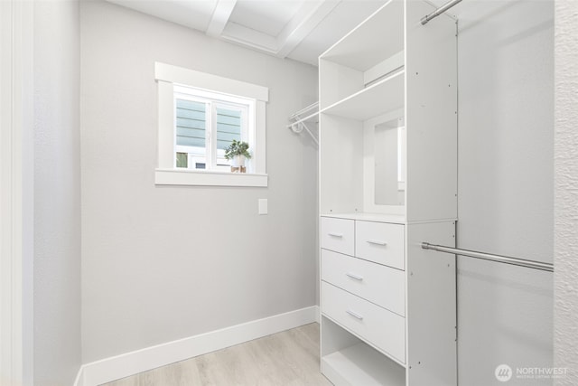 1316 115th St S, Tacoma, WA 98444 - spacious closet with light wood-style floors