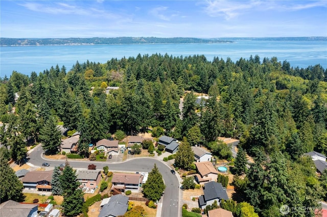 31228 47th Pl SW, Federal Way, WA 98023 - aerial perspective of suburban area featuring a nearby body of water and a forest