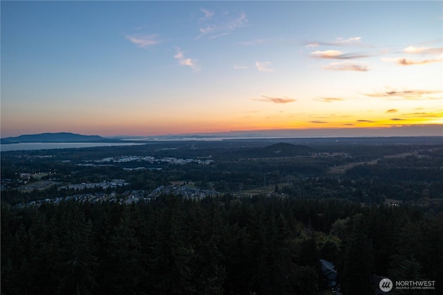 1668 Sapphire Trl, Bellingham, WA 98226 - photo 30