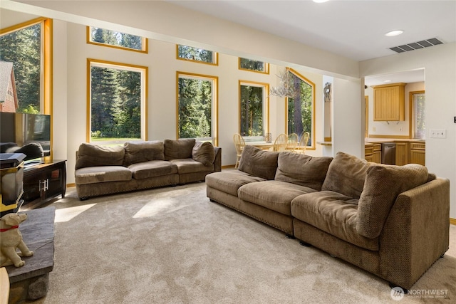 160 Cozy Ln, Ronald, WA 98940 - photo 8