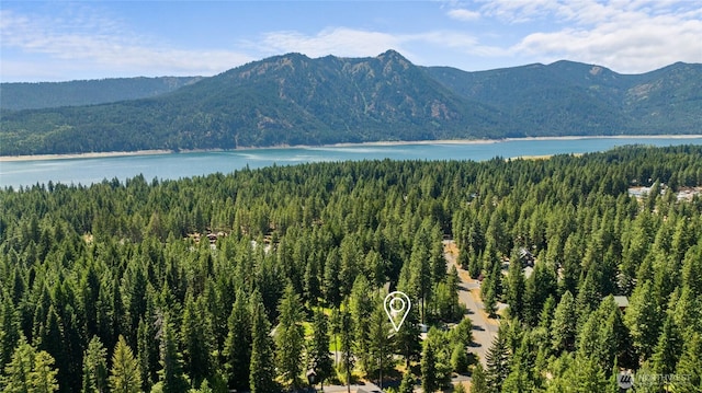 160 Cozy Ln, Ronald, WA 98940 - photo 36