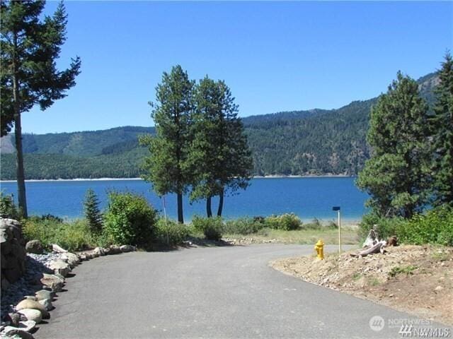 160 Cozy Ln, Ronald, WA 98940 - photo 39