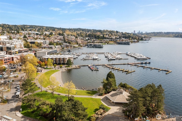 112C 2nd St S, Kirkland, WA 98033 - aerial view of a large body of water and a marina