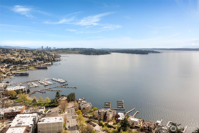 112C 2nd St S, Kirkland, WA 98033 - drone / aerial view of a large body of water
