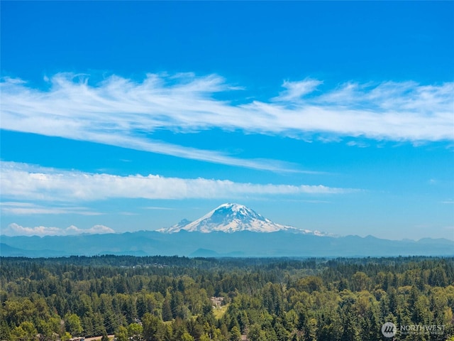 16548 115th Ave SE, Renton, WA 98055 - mountain view with a heavily wooded area