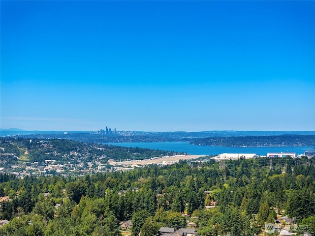 16548 115th Ave SE, Renton, WA 98055 - aerial view