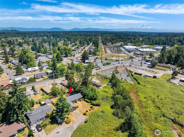 16548 115th Ave SE, Renton, WA 98055 - aerial view of property and surrounding area with a heavily wooded area and a mountain backdrop
