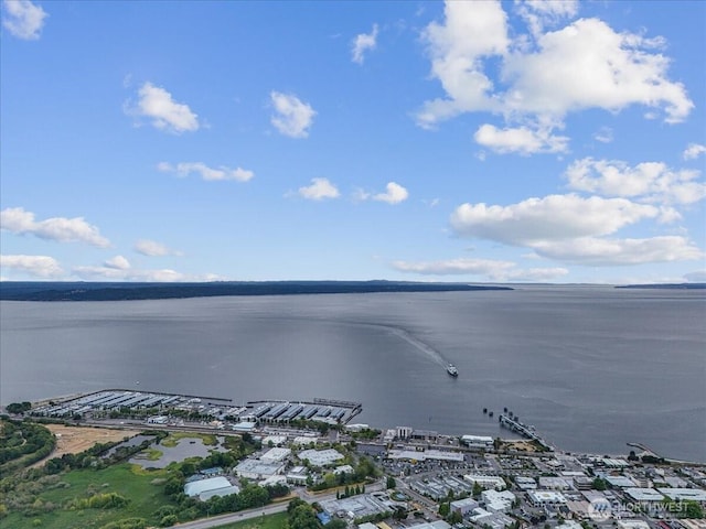 619 8th Ave S, Edmonds, WA 98020 - water view