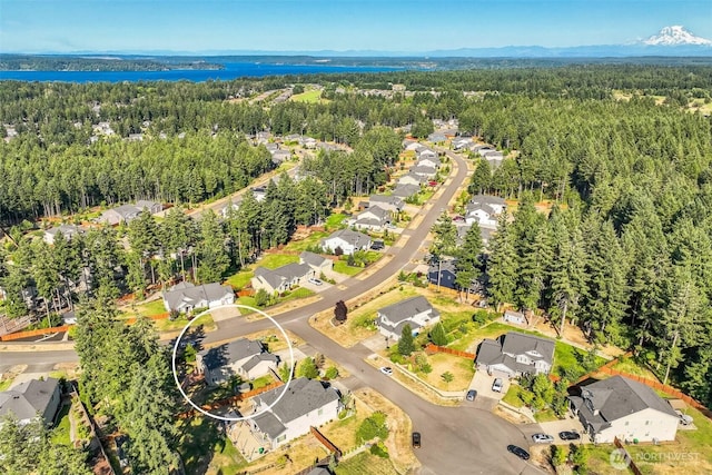 4749 NE Waxwing Ct, Lacey, WA 98516 - aerial perspective of suburban area with a forest