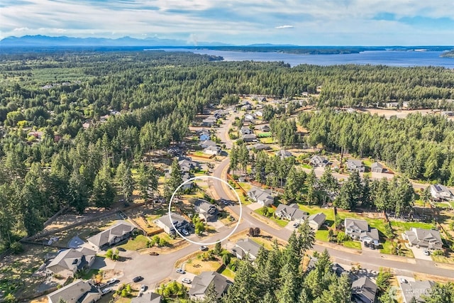 4749 NE Waxwing Ct, Lacey, WA 98516 - aerial overview of property's location with nearby suburban area and a water and mountain view