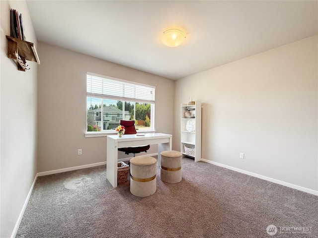 2306 115th Dr SE, Lake Stevens, WA 98258 - photo 23