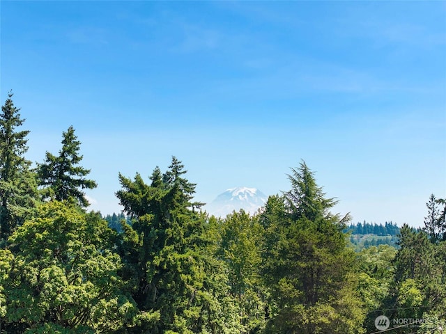 6821 9th St E, Fife, WA 98424 - view of woods