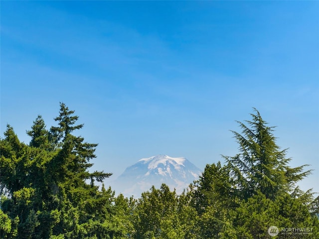 6821 9th St E, Fife, WA 98424 - view of mountain backdrop