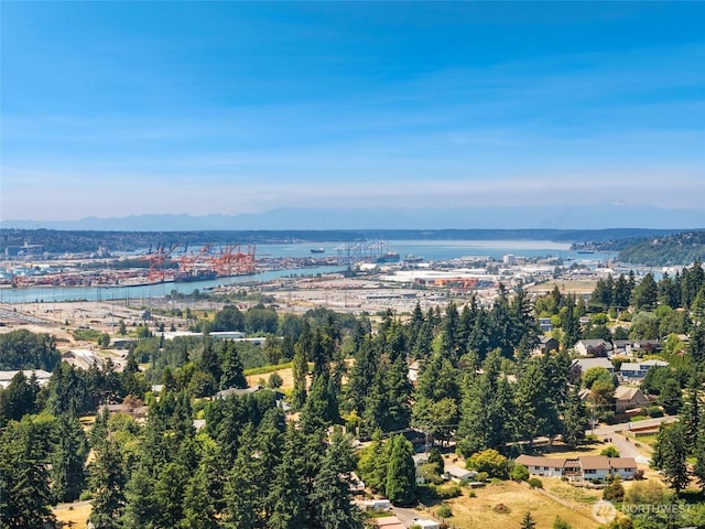 6821 9th St E, Fife, WA 98424 - drone / aerial view of a nearby body of water and a notable bridge