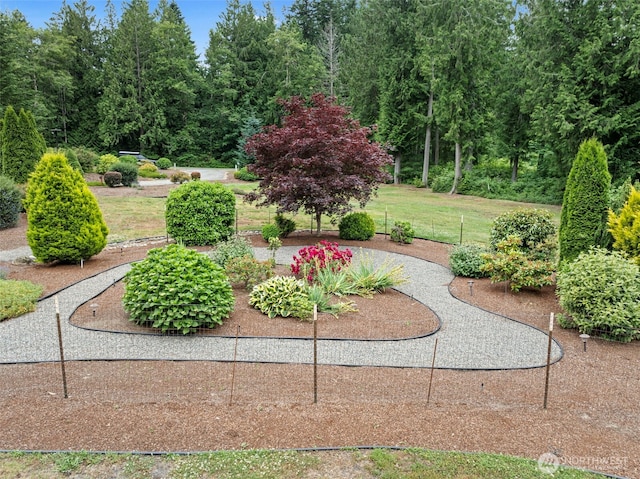 6610 NW Lois Dr, Silverdale, WA 98383 - photo 24
