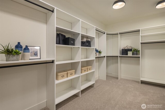 15734 SE 25th St, Bellevue, WA 98008 - walk in closet with carpet floors