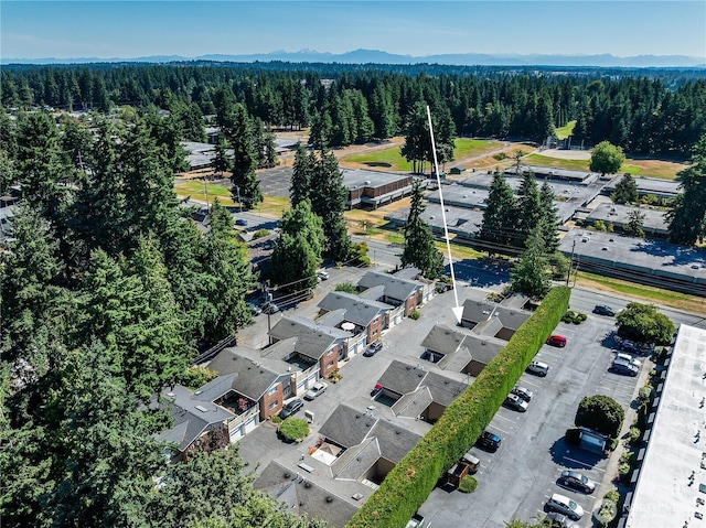 20632 76th Ave W Unit 4, Edmonds, WA 98026 - aerial perspective of suburban area with a heavily wooded area