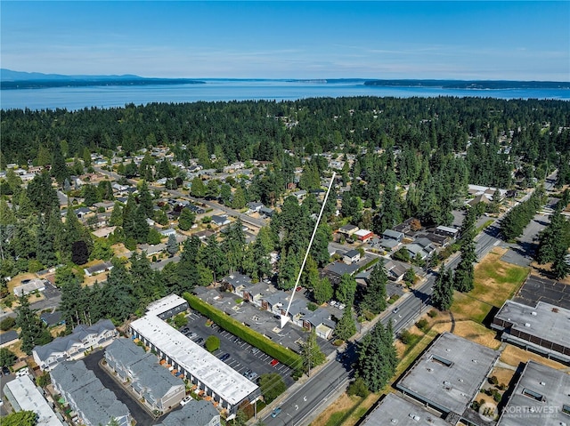 20632 76th Ave W Unit 4, Edmonds, WA 98026 - aerial view of property's location featuring a large body of water and a heavily wooded area