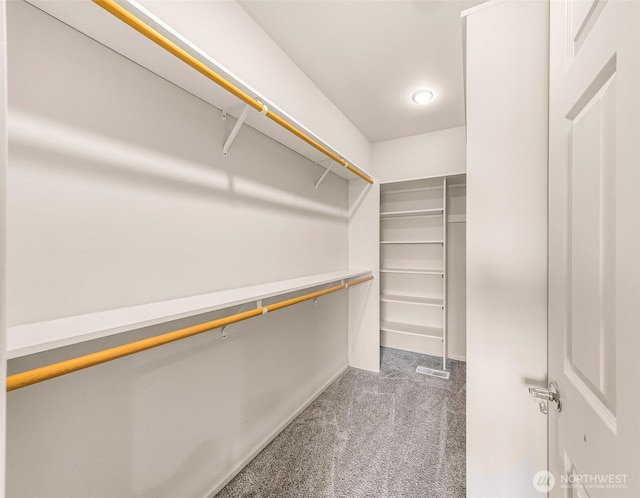 1725 Harrison Pl Unit 104, Lynden, WA 98264 - spacious closet with carpet flooring